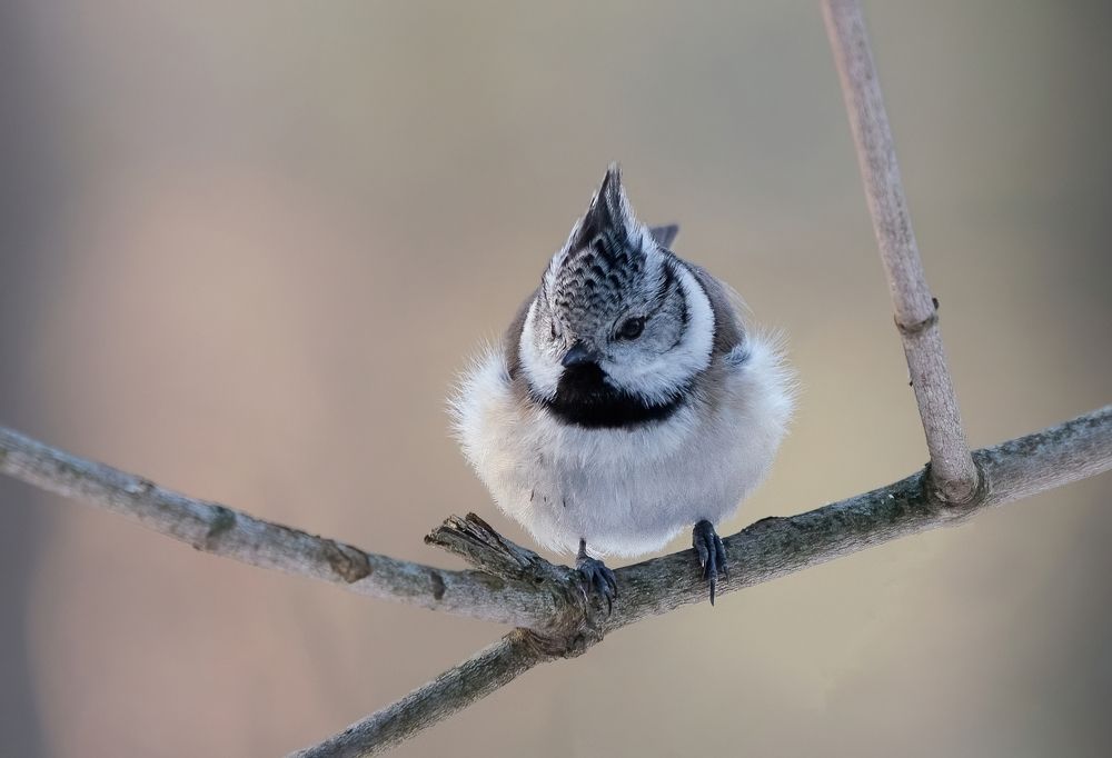Photograph by Viktor Makarov
