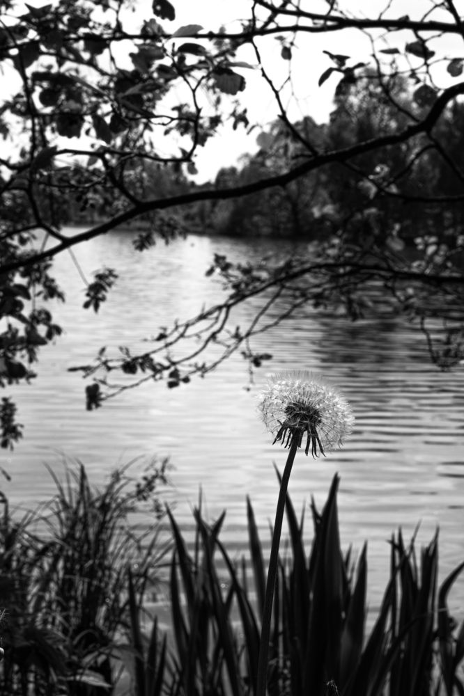 Photograph by Николай