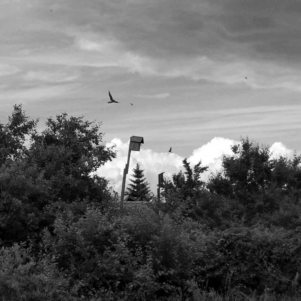 Photograph by Елена Глуховкина