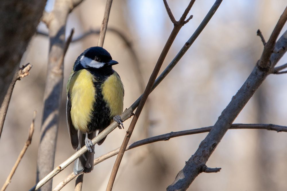 Photograph by Всеволод Маслов