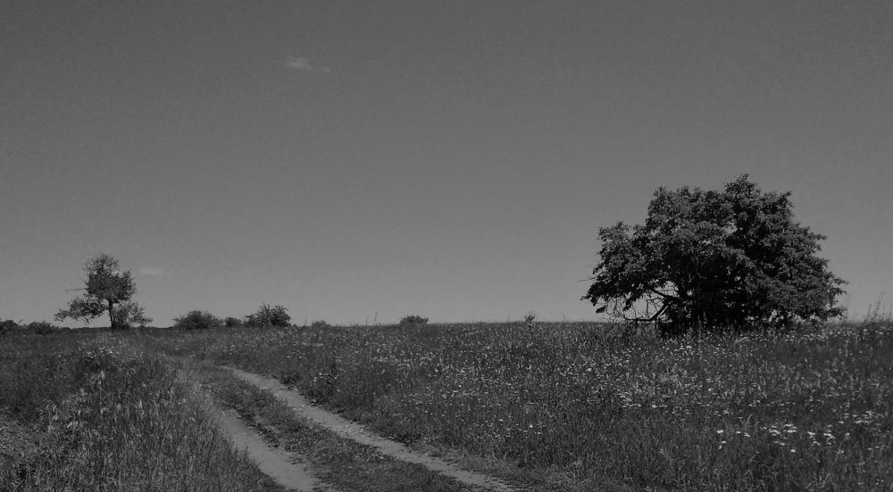 Photograph by Елена Глуховкина