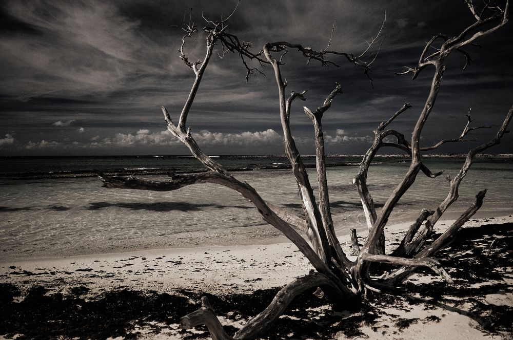 Photograph by Jorge Troncoso