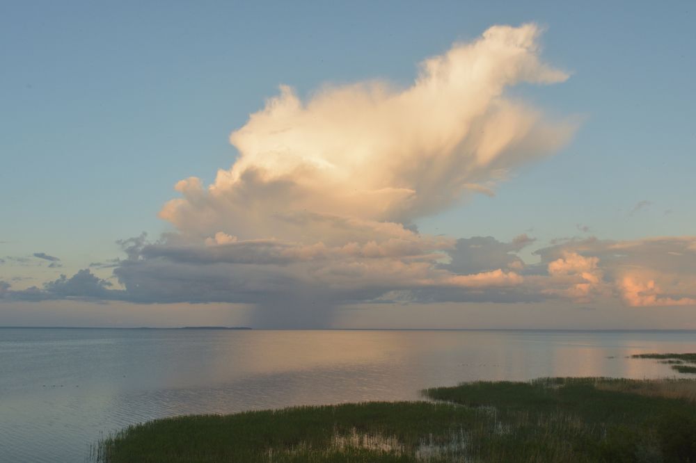 Photograph by Светлана Агапова