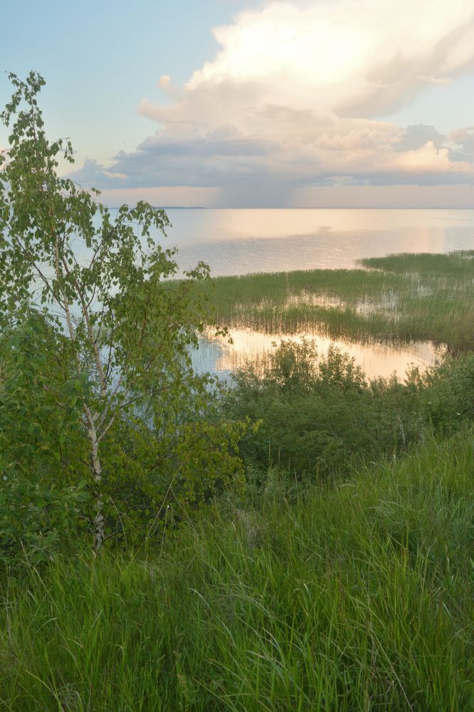 Photograph by Светлана Агапова