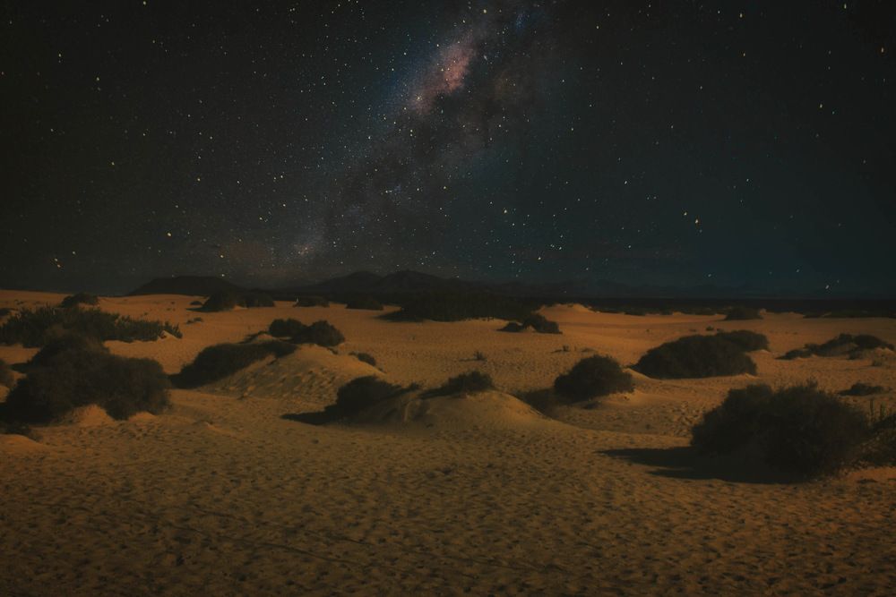 Photograph by Николай Тышкунов