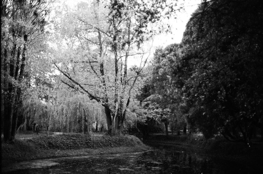 Photograph by Алексей Лунёв