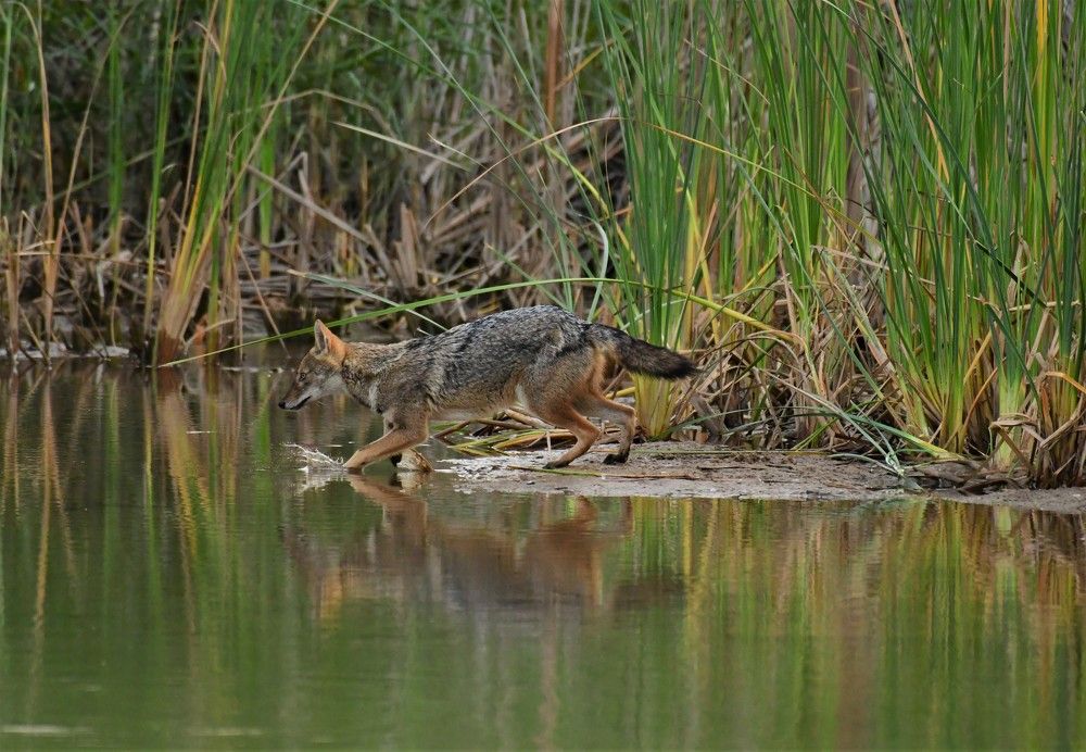 Photograph by Dagmara Giller