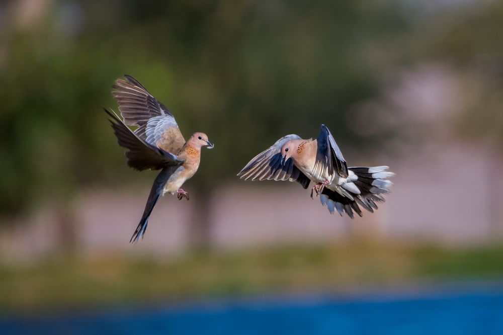 Фотография автора Nishakanth Y