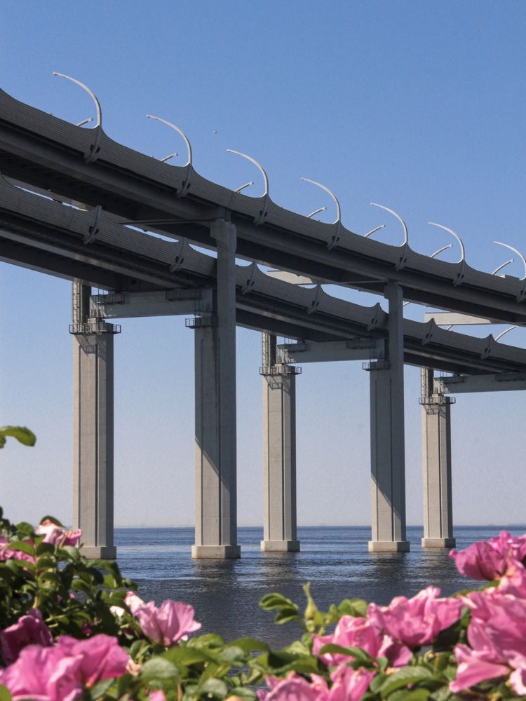 Photograph by Екатерина Николаева