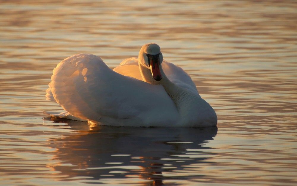 Photograph by Epp Tappel