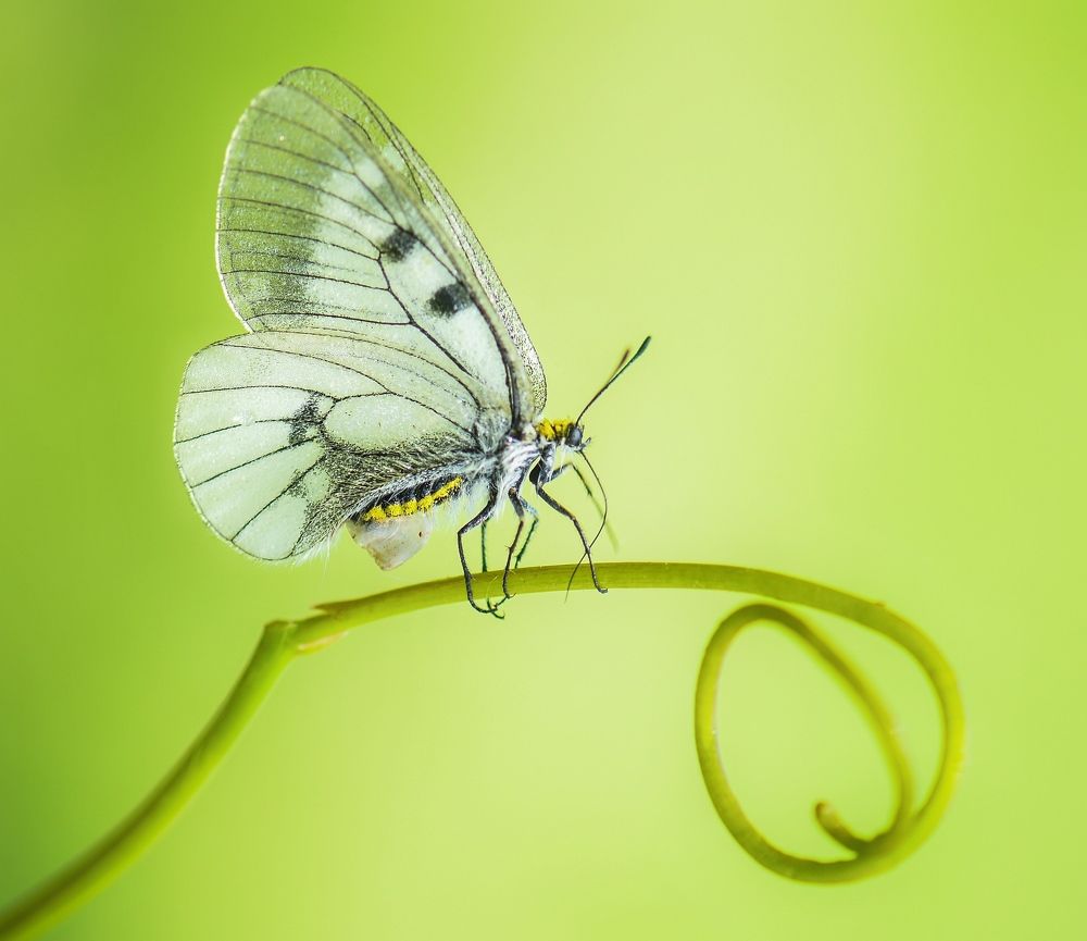 Photograph by Nurşin Erçetin