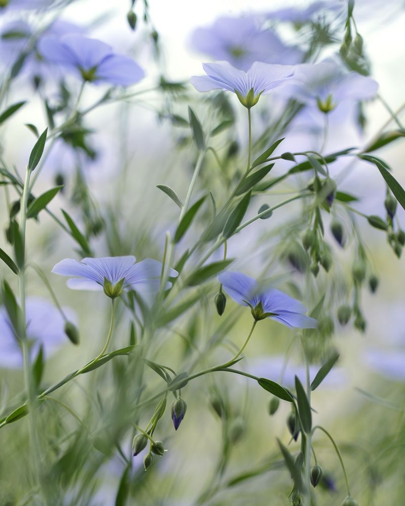 Photograph by Юлия Золотухина