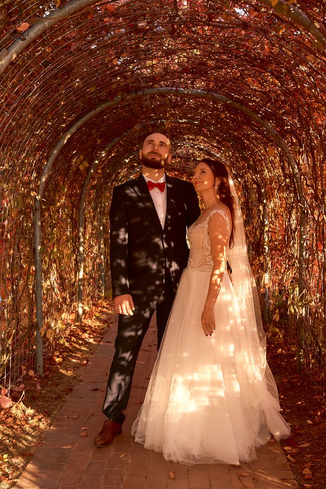 Photograph by Lukasz Pustelnik