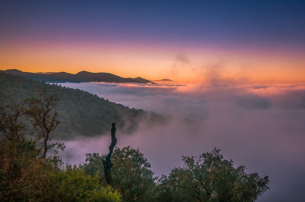 The clouds above sunset