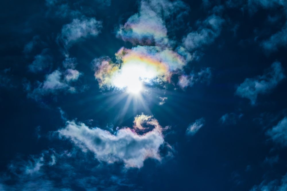 Photograph by Teresa Molinaro