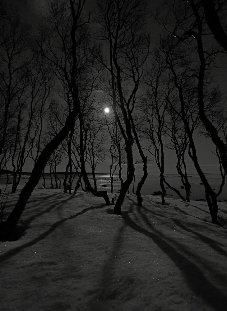 Photograph by Евгений Яковлев