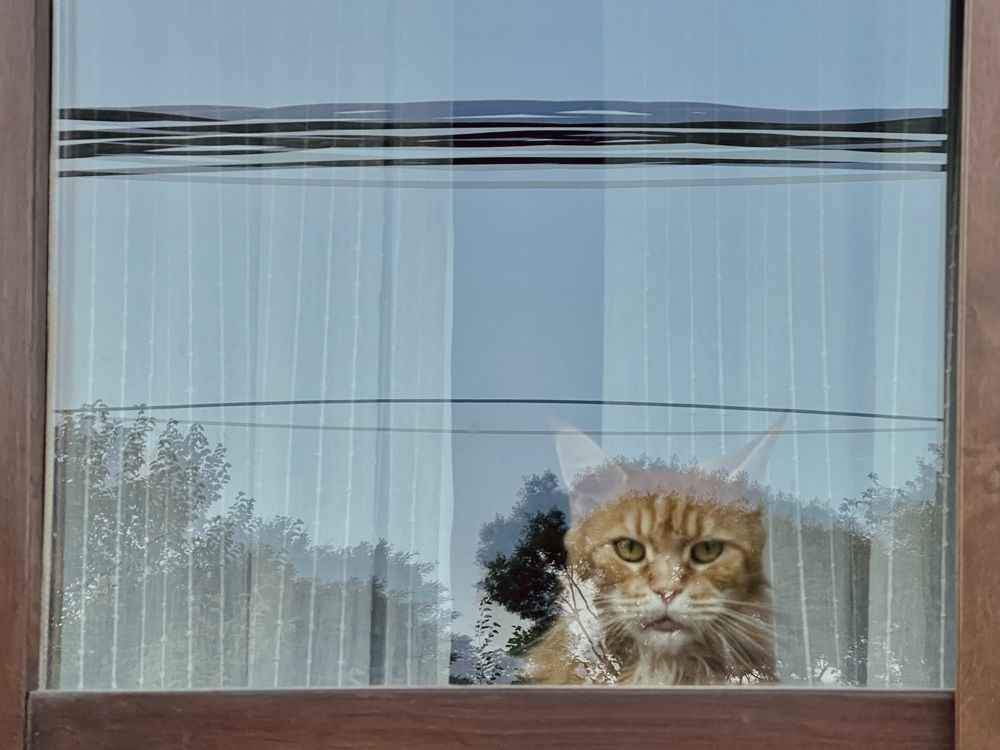 Photograph by Irina Studenyak