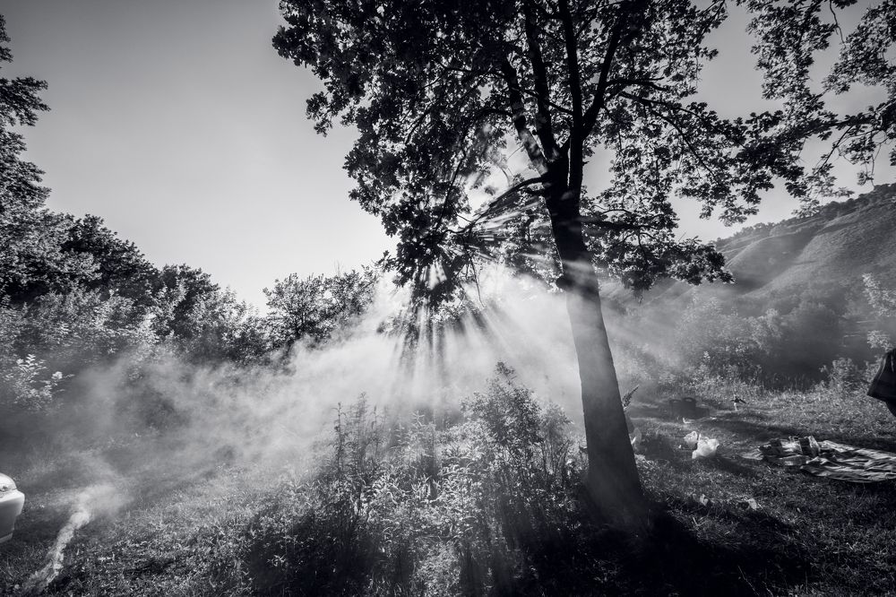 Photograph by Светлана Пудовкина