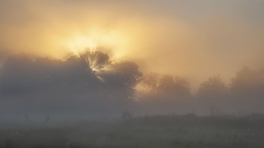 Photograph by АНДРЕЙ АБАКУМОВ