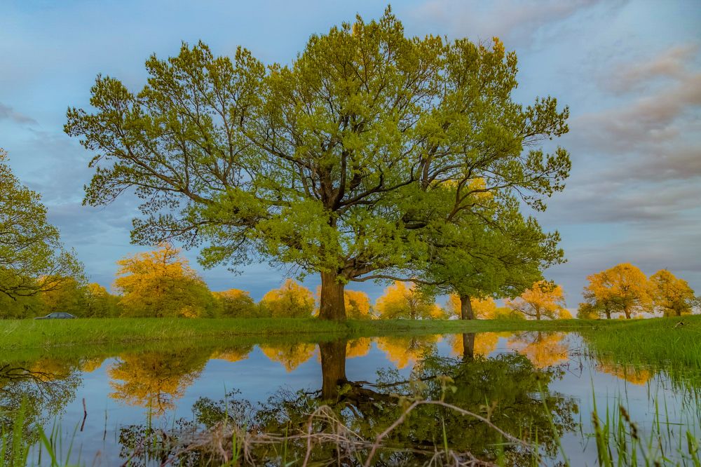 Майский вечер