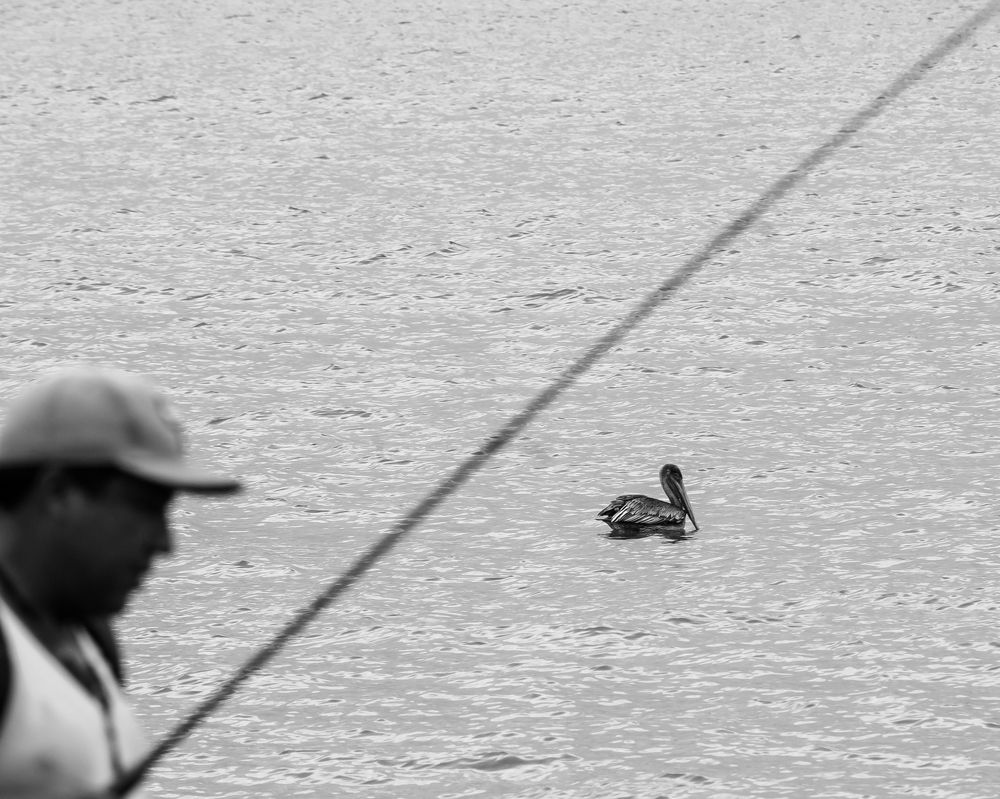 Photograph by Armando Lopez-Guerrero