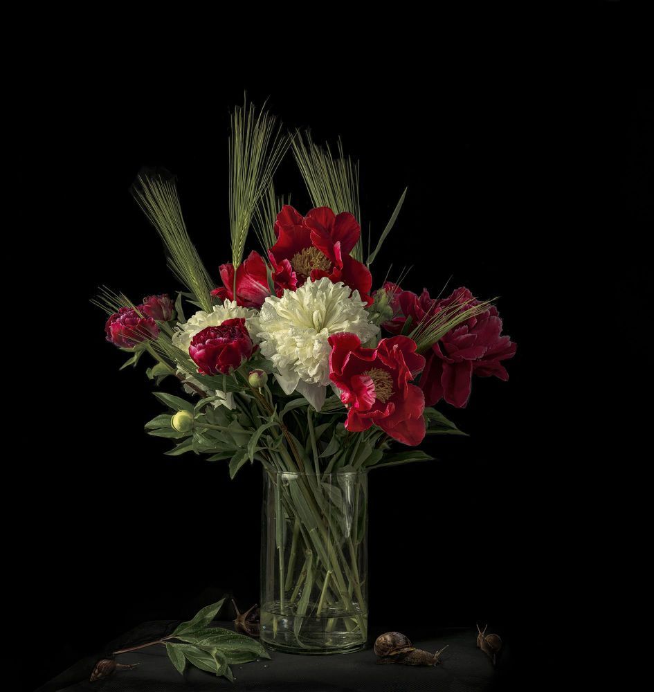 Photograph by Анжелика Костин