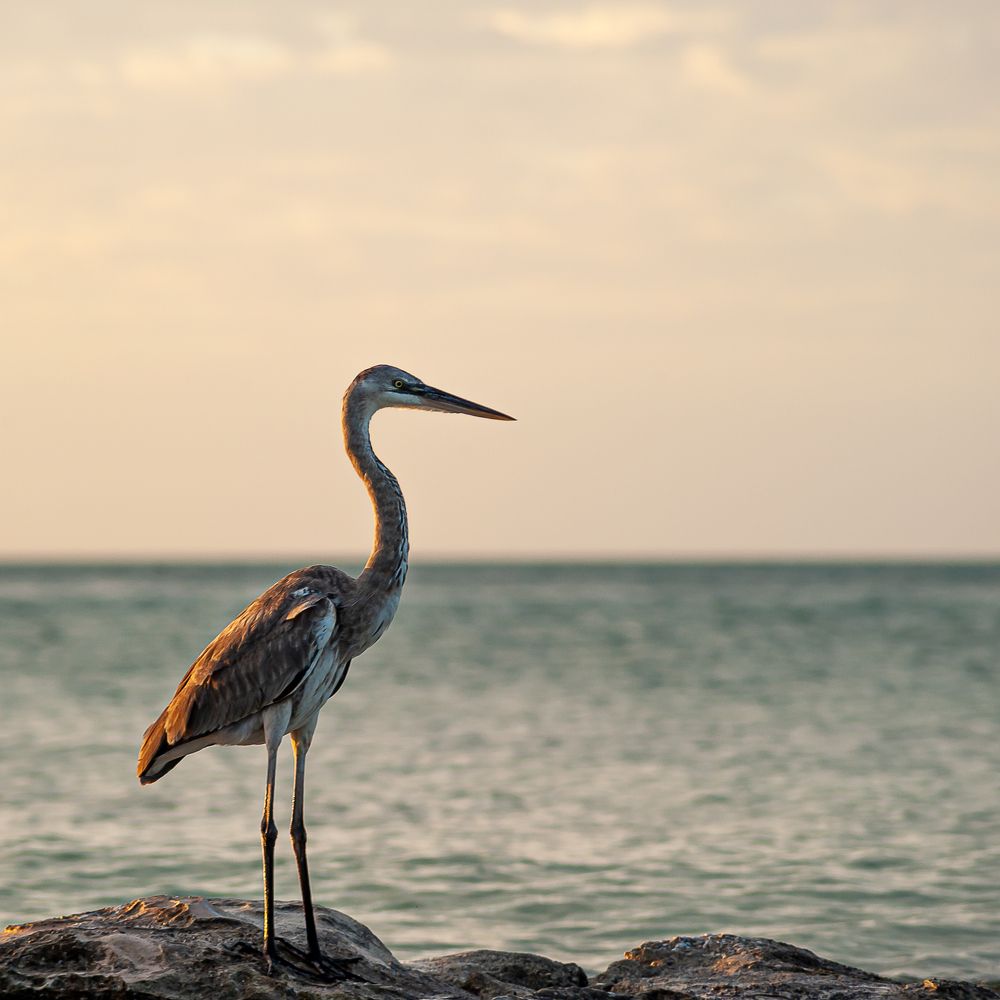 Photograph by Armando Lopez-Guerrero