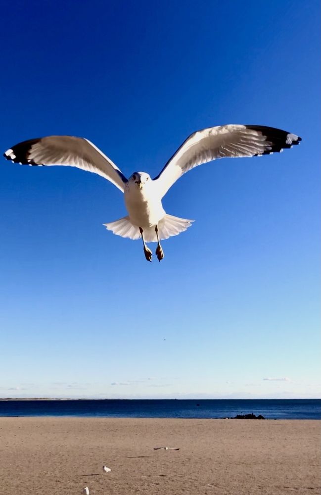 Фотография автора Ираида Гайфуллина