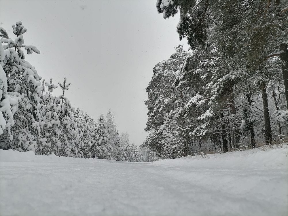 Photograph by Юлия Яблокова