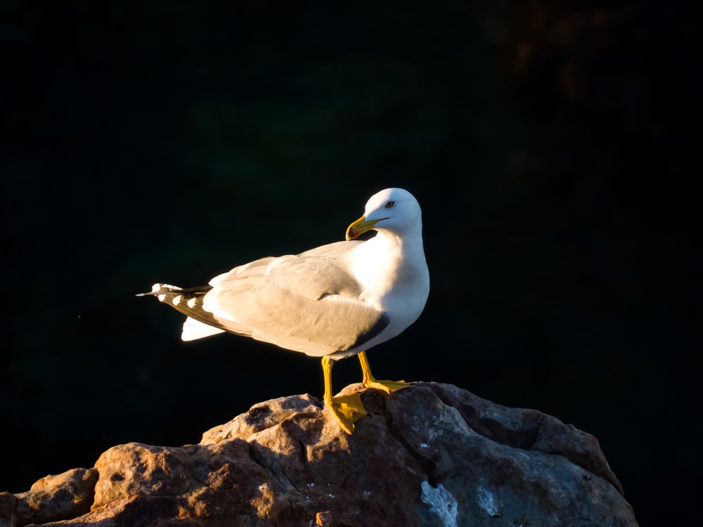 Photograph by Abdelatif Smaini