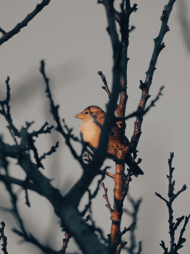 Photograph by Abdelatif Smaini