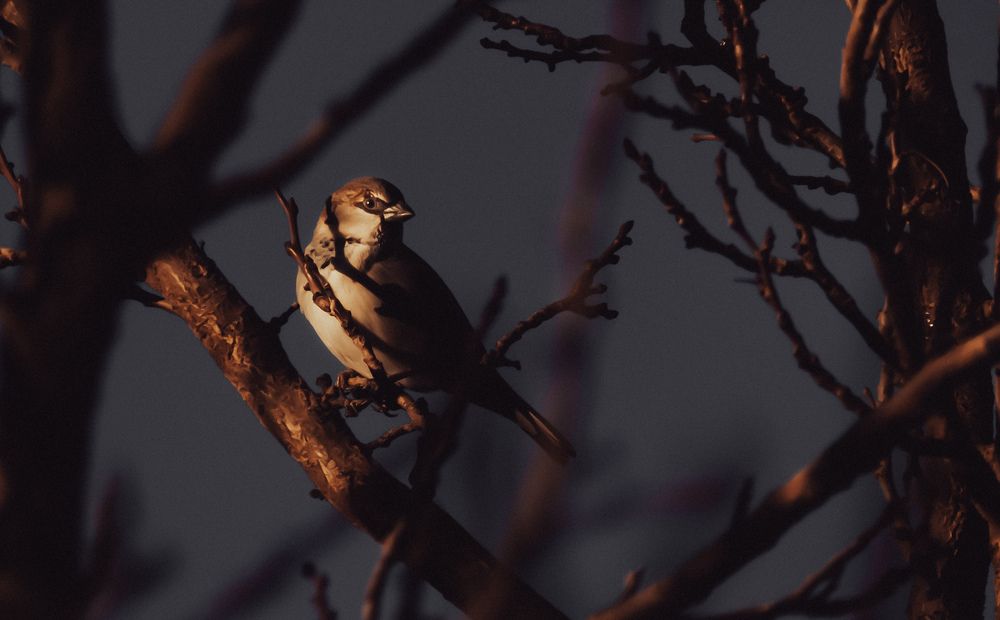 Photograph by Abdelatif Smaini