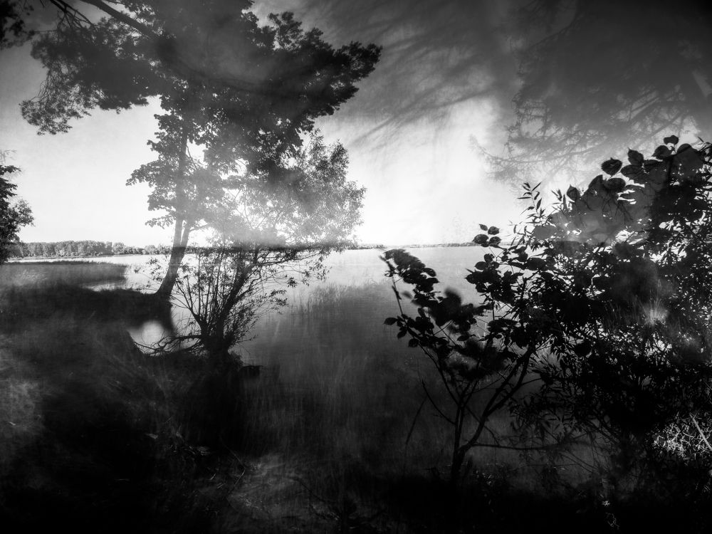 Photograph by Snails Big