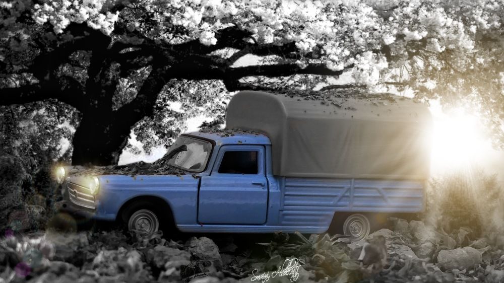 Photograph by Abdelatif Smaini