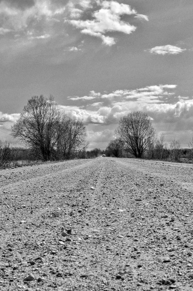 Photograph by Светлана Богомолова