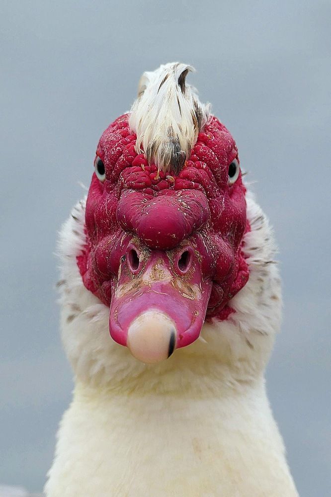 Фотография автора Edwin Loyola