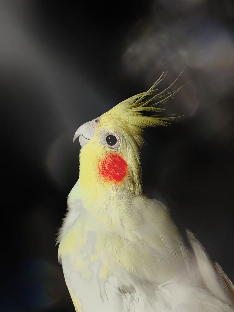 Photograph by Ahmed Fahj