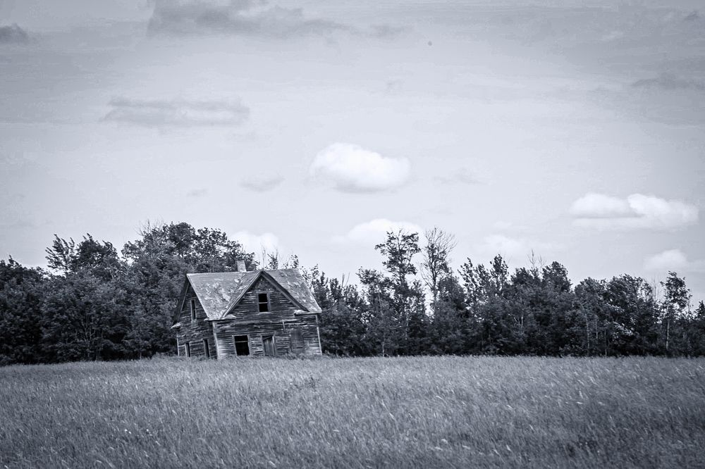 Фотография автора Кристина Данилюк