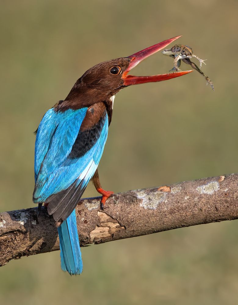 Photograph by Graeme Guy