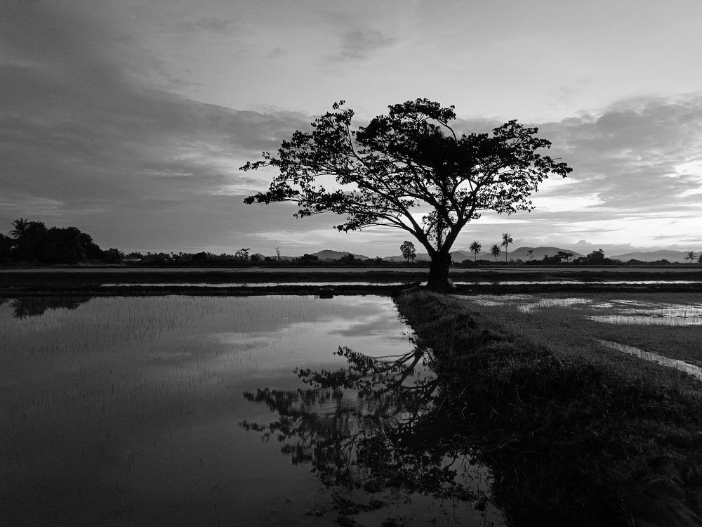 Photograph by Fazdriel Arham Ibrahim