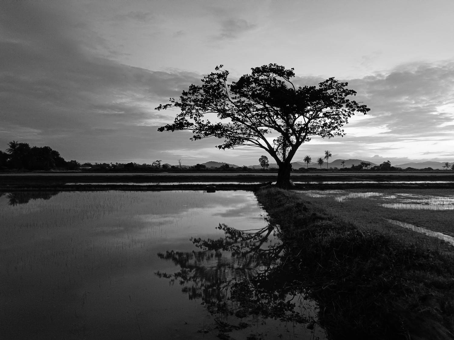 Photo #7753884