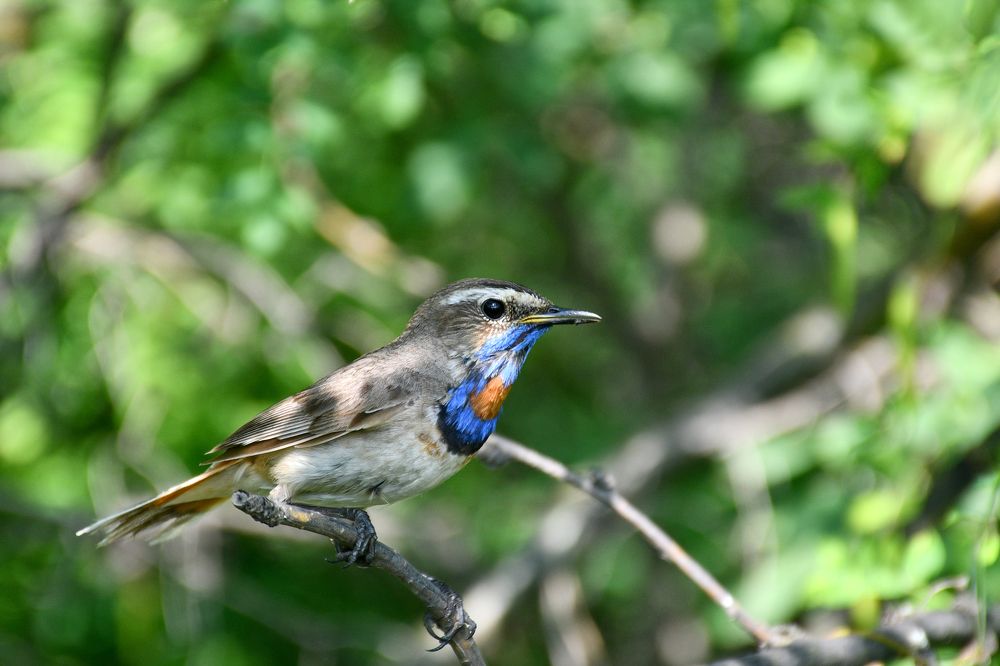 Photograph by Елена Гасенко