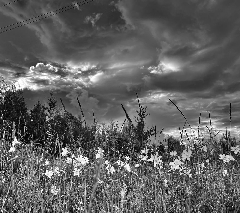 Photograph by Елена Мизина