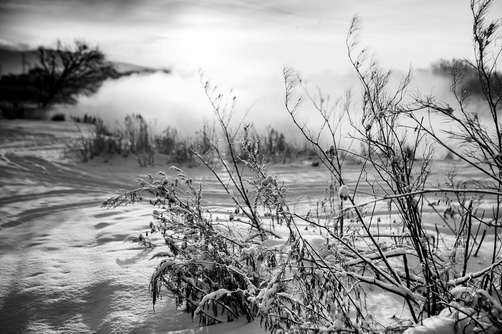 Фотография автора Артур Петросян