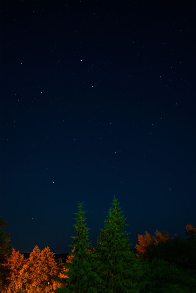 Photograph by Алексей Власов