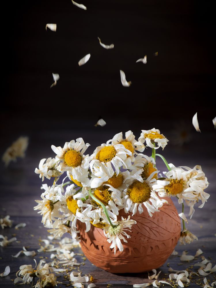 Photograph by Юлия Гудкова