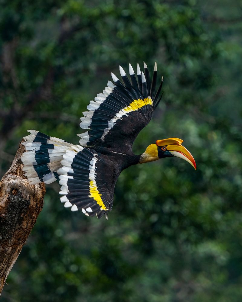 Photograph by arun tk