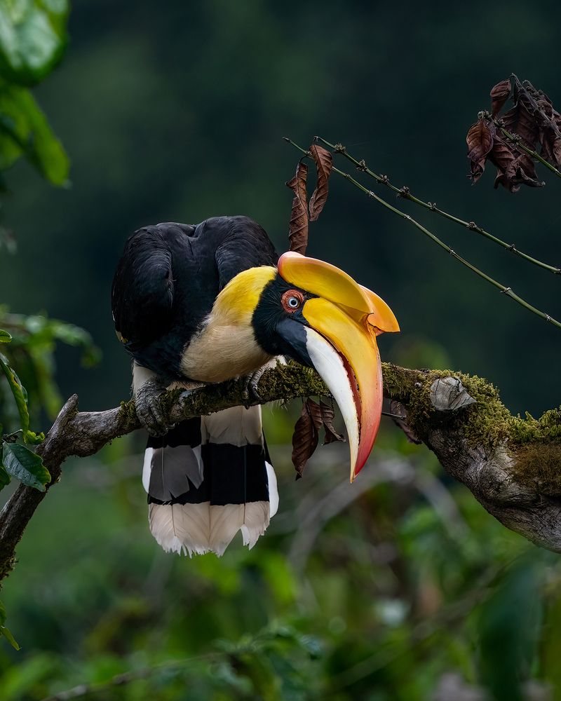 Photograph by arun tk