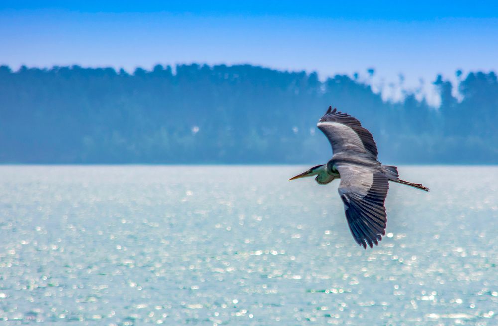 Photograph by Виталий Слёзка