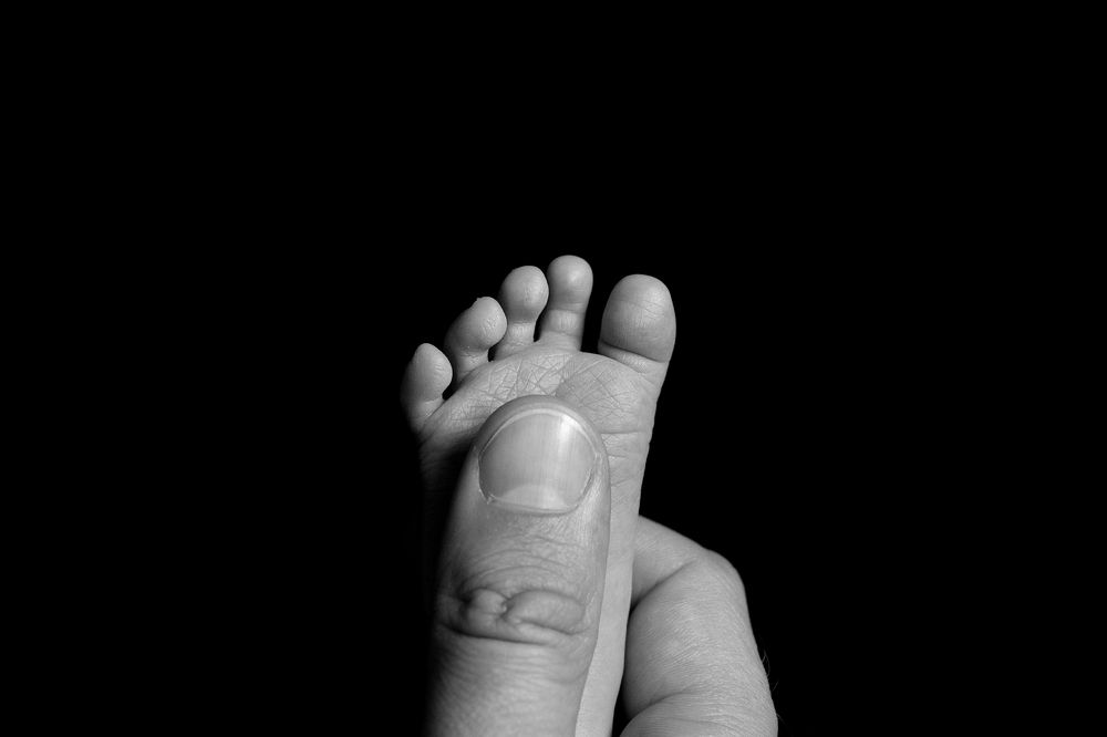 Фотография автора Надежда Бочарникова